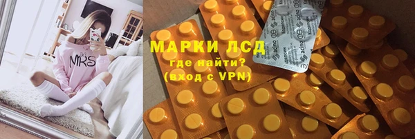 крисы Баксан
