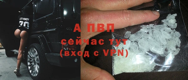 крисы Баксан