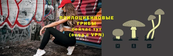 крисы Баксан