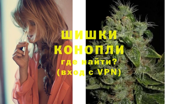 крисы Баксан