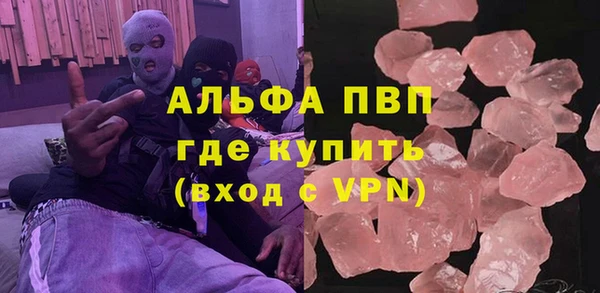 крисы Баксан