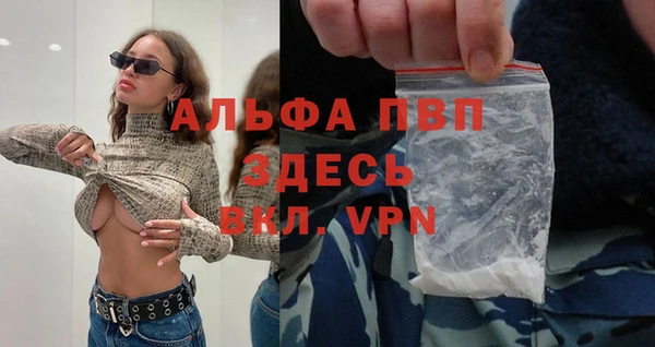 крисы Баксан
